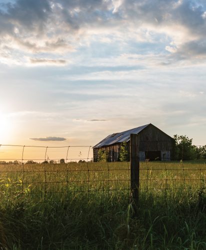 Summers at Mini and Papa’s Virginia Farm